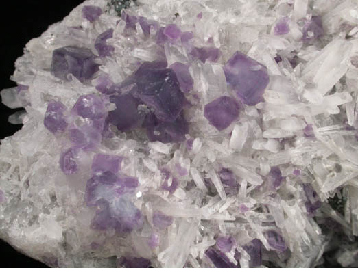 Fluorite on Quartz with Pyrite from Sweet Home Mine, Buckskin Gulch, Alma District, Park County, Colorado