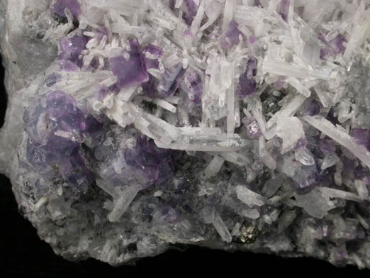 Fluorite on Quartz with Pyrite from Sweet Home Mine, Buckskin Gulch, Alma District, Park County, Colorado