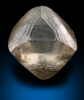 Diamond (2.31 carat champagne-brown octahedral crystal) from Diamantino, Matto Grosso, Brazil