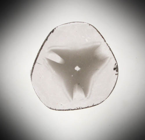 Diamond (0.27 carat polished slice with sector-zoned inclusions) from Zimbabwe