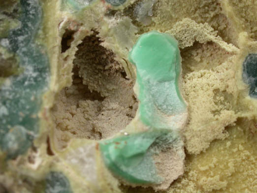 Variscite, Wardite, Crandallite, Millisite from Clay Canyon, Fairfield, Utah County, Utah (Type Locality for Wardite and Millisite)