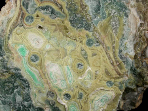 Variscite, Wardite, Crandallite, Millisite from Clay Canyon, Fairfield, Utah County, Utah (Type Locality for Wardite and Millisite)