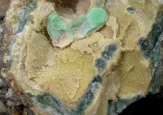 Variscite, Wardite, Crandallite, Millisite from Clay Canyon, Fairfield, Utah County, Utah (Type Locality for Wardite and Millisite)