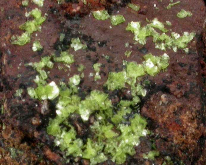 Autunite on Jarosite from Apex Mine, Lander County, Nevada