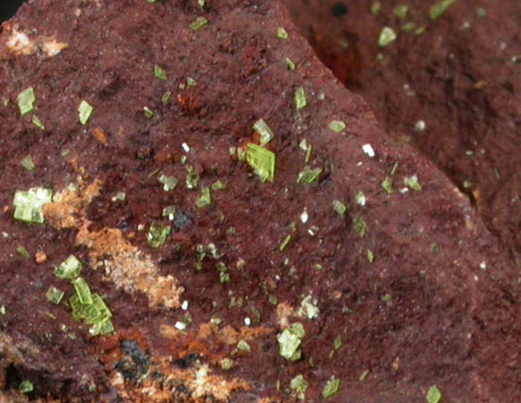 Autunite on Jarosite from Apex Mine, Lander County, Nevada