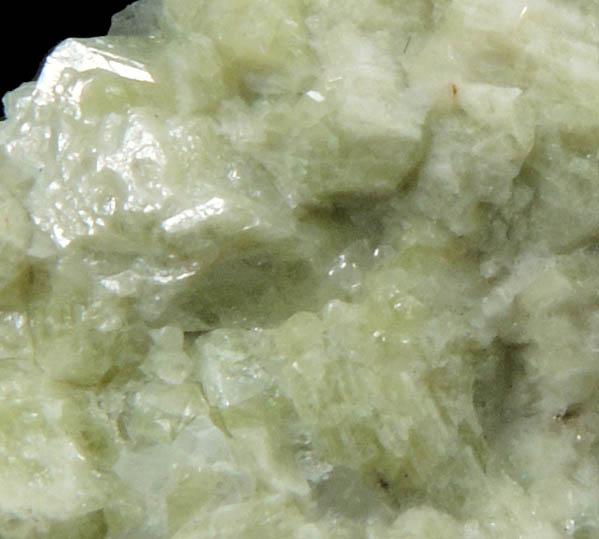 Vesuvianite with minor Calcite from Crestmore Quarry, Crestmore, Riverside County, California