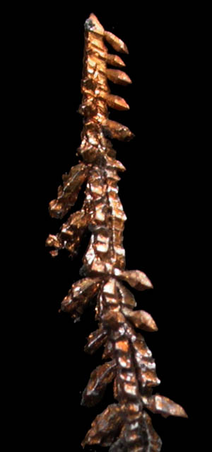 Silver from Andres del Rio District, Batopilas, Chihuahua, Mexico