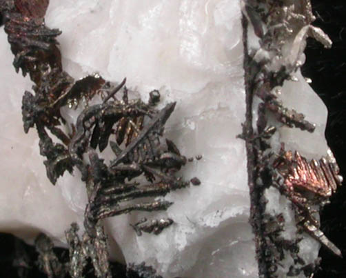 Silver crystals in Calcite from Andres del Rio District, Batopilas, Chihuahua, Mexico