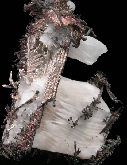 Silver crystals in Calcite from Andres del Rio District, Batopilas, Chihuahua, Mexico