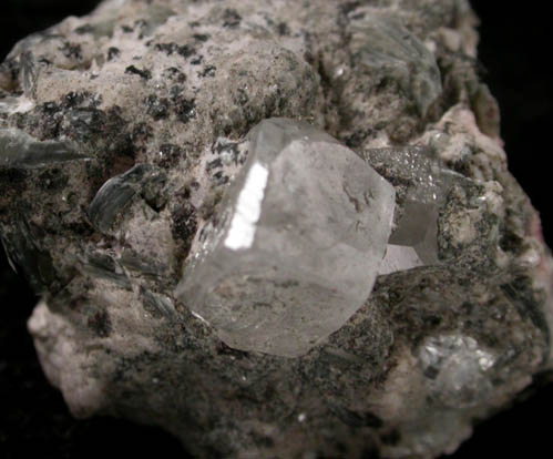 Phenakite on Muscovite from Mount Antero, Chaffee County, Colorado