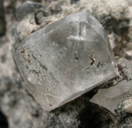 Phenakite on Muscovite from Mount Antero, Chaffee County, Colorado