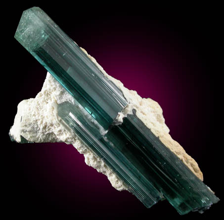 Elbaite var. Indicolite Tourmaline in Muscovite from Sapo Mine, Minas Gerais, Brazil