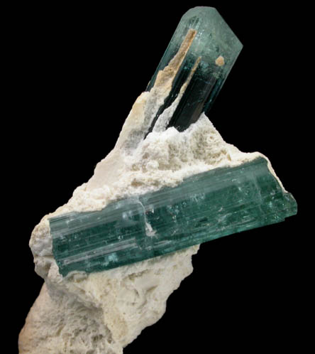 Elbaite var. Indicolite Tourmaline in Muscovite from Sapo Mine, Minas Gerais, Brazil