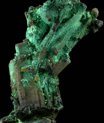 Bornite pseudomorph after Chalcocite with Brochantite coating from Levant Mine, Cornwall, England