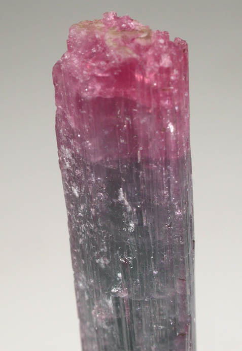 Elbaite Tourmaline from Pederneira Mine, Sao Jos da Safira, Minas Gerais, Brazil