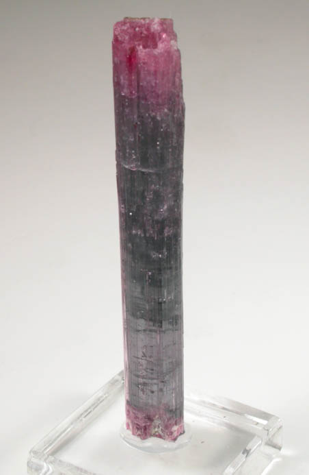 Elbaite Tourmaline from Pederneira Mine, Sao Jos da Safira, Minas Gerais, Brazil