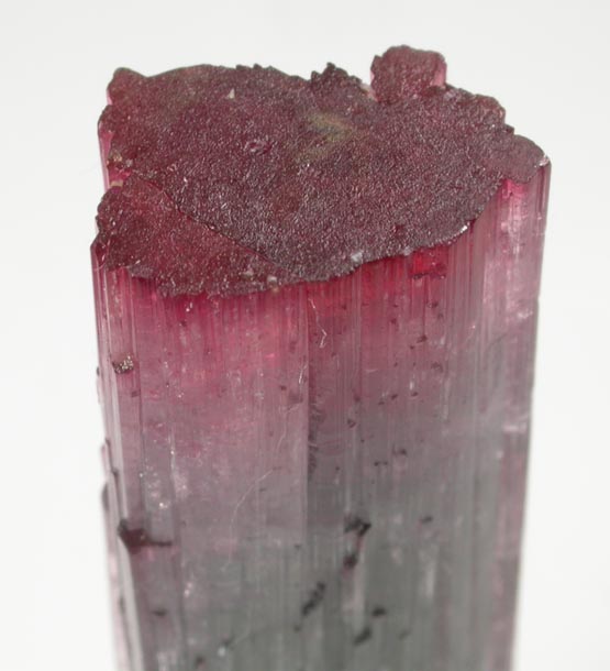 Elbaite Tourmaline from Pederneira Mine, Sao Jos da Safira, Minas Gerais, Brazil