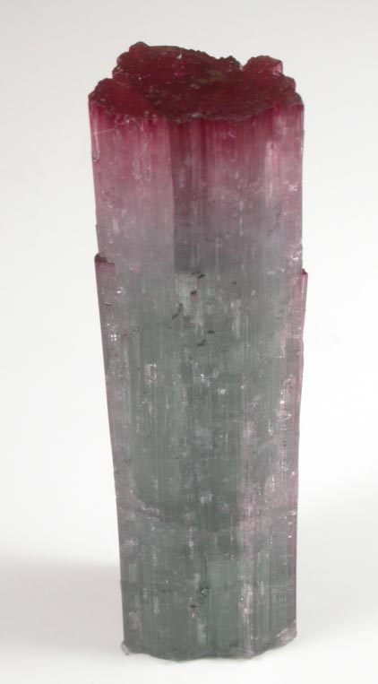 Elbaite Tourmaline from Pederneira Mine, Sao Jos da Safira, Minas Gerais, Brazil