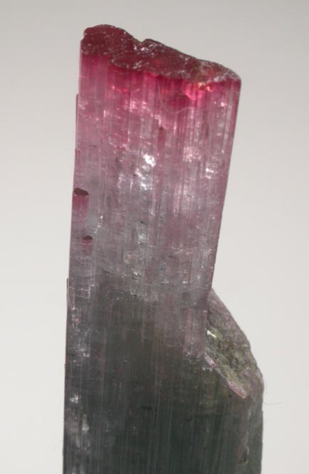 Elbaite Tourmaline from Pederneira Mine, Sao Jos da Safira, Minas Gerais, Brazil