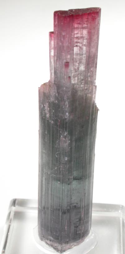 Elbaite Tourmaline from Pederneira Mine, Sao Jos da Safira, Minas Gerais, Brazil