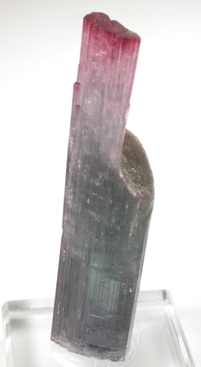 Elbaite Tourmaline from Pederneira Mine, Sao Jos da Safira, Minas Gerais, Brazil