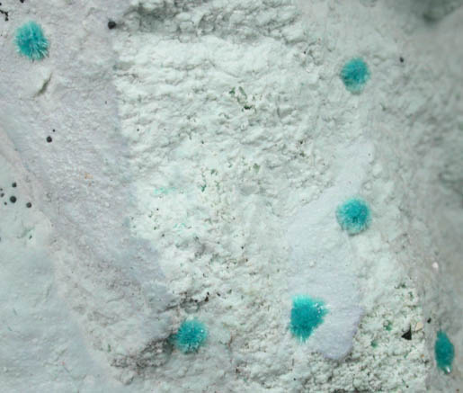 Devilline on Gypsum from Hilarion Mine, Lavrion (Laurium) Mining District, Attica Peninsula, Greece