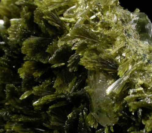 Clinozoisite var. Pistacite from Alicante, Comunidad Valenciana, Spain