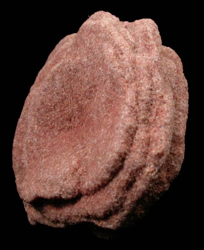 Barite var. Desert Rose from Garber Sandstone Formation, near Norman, Cleveland County, Oklahoma