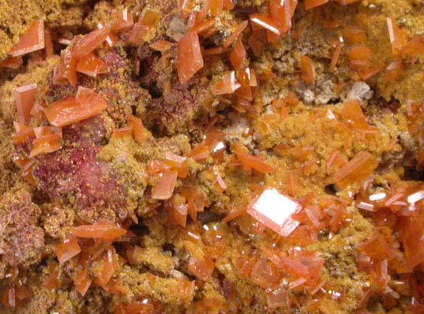 Wulfenite and Mimetite from Harrington-Hickory Mine, Beaver County, Utah