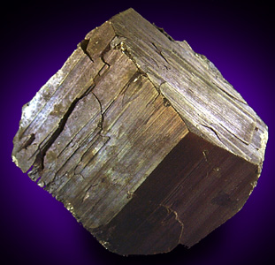 Bravoite on Pyrite from Rico, Dolores County, Colorado