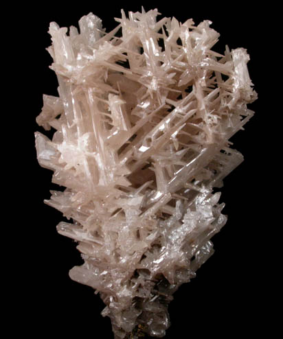 Cerussite (reticulated crystals) from Nakhlak Mine, Anarak District, Esfahan Province, Iran