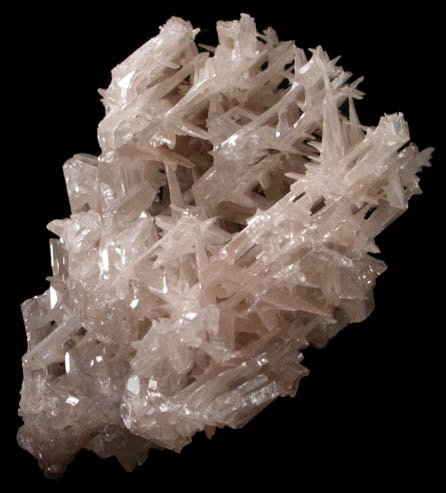 Cerussite (reticulated crystals) from Nakhlak Mine, Anarak District, Esfahan Province, Iran