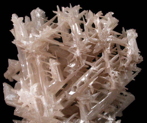 Cerussite (reticulated crystals) from Nakhlak Mine, Anarak District, Esfahan Province, Iran