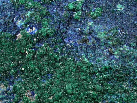 Azurite with Antlerite-Brochantite from Posey Mine, Red Canyon, San Juan County, Utah