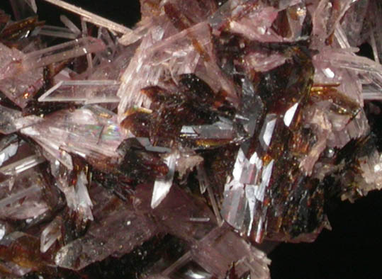 Hubeite and Inesite from Fengjiashan Mine, Daye District, Huangshi, Hubei Province, China (Type Locality for Hubeite)