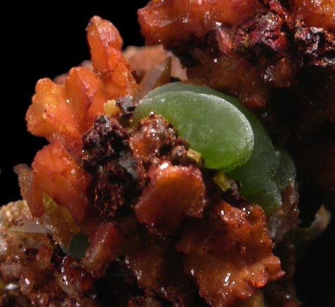 Mimetite and Wulfenite from Mina Ojuela, Mapimi, Durango, Mexico