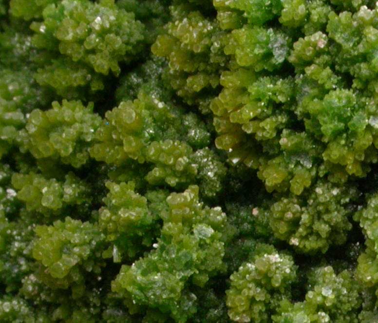 Pyromorphite from Gute Hoffnung Mine, south of Bleibuir, Eifel Mountains, Nordrhein-Westfalen, Germany