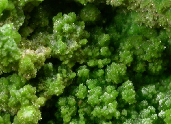 Pyromorphite from Gute Hoffnung Mine, south of Bleibuir, Eifel Mountains, Nordrhein-Westfalen, Germany