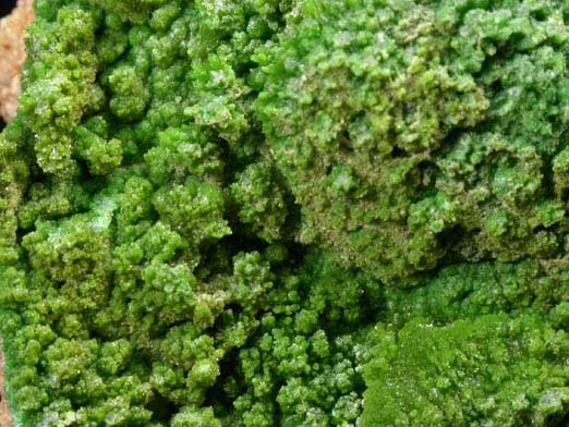 Pyromorphite from Gute Hoffnung Mine, south of Bleibuir, Eifel Mountains, Nordrhein-Westfalen, Germany