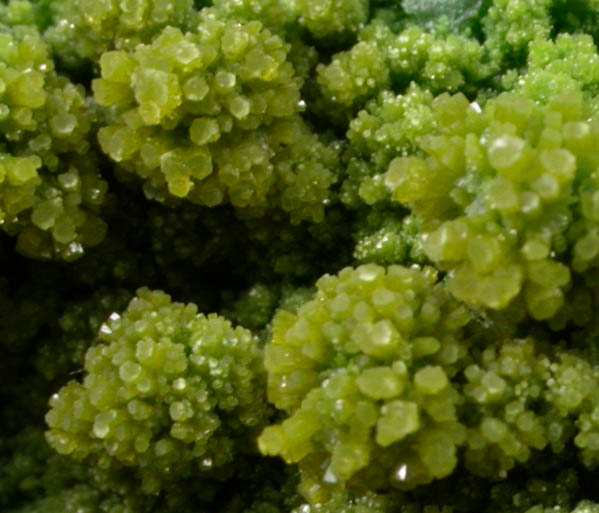 Pyromorphite from Gute Hoffnung Mine, south of Bleibuir, Eifel Mountains, Nordrhein-Westfalen, Germany