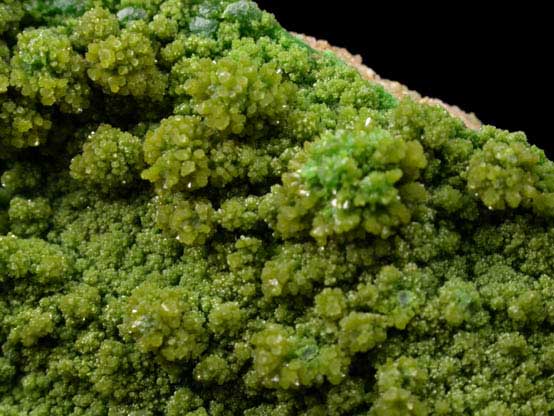 Pyromorphite from Gute Hoffnung Mine, south of Bleibuir, Eifel Mountains, Nordrhein-Westfalen, Germany