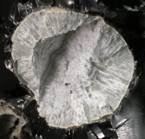 Cristobalite and Fayalite in Obsidian from Cougar Butte, Siskiyou County, California