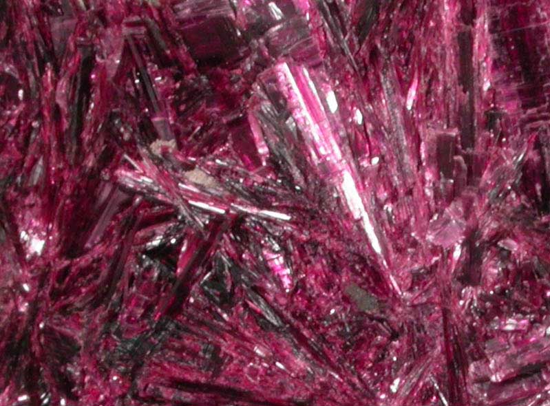 Erythrite from Bou Azzer District, Anti-Atlas Mountains, Tazenakht, Ouarzazate, Morocco (Type Locality for Erythrite)