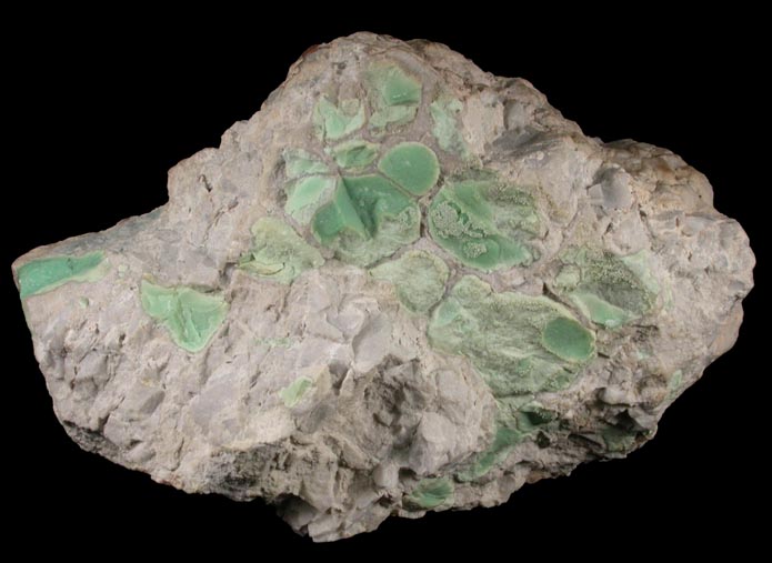 Variscite from Utahlite Hill, 5.80 km north of Lucin, Box Elder County, Utah