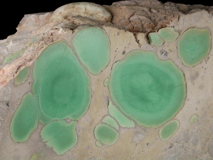 Variscite from Utahlite Hill, 5.80 km north of Lucin, Box Elder County, Utah