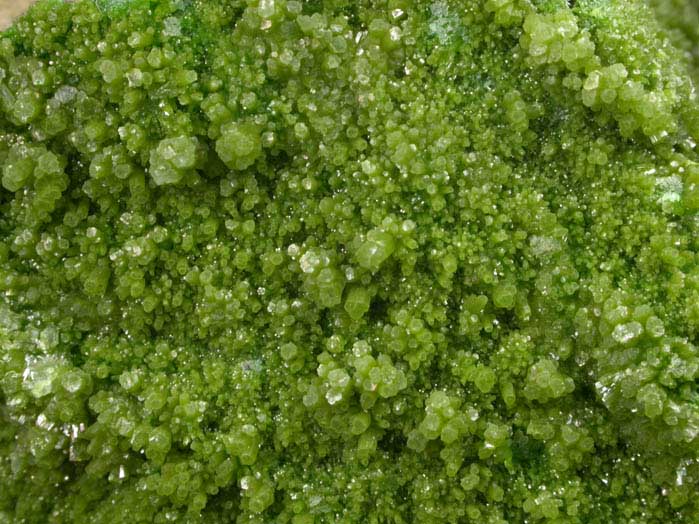 Pyromorphite from Gute Hoffnung Mine, south of Bleibuir, Eifel Mountains, Nordrhein-Westfalen, Germany