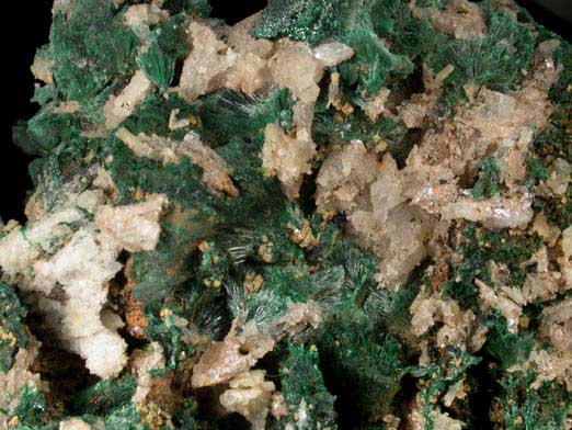 Malachite and Cerussite from Brown's Prospect, Rum Jungle, 61 km south of Darwin, Northern Territory, Australia