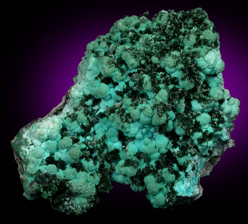 Malachite on Chrysocolla from Kolwezi Mining District, 240 km WNW of  Lubumbashi, Katanga Copperbelt, Lualaba Province, Democratic Republic of the Congo