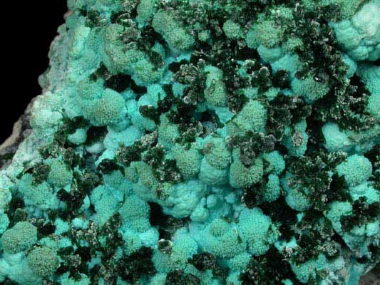 Malachite on Chrysocolla from Kolwezi Mining District, 240 km WNW of Lubumbashi, Katanga Copperbelt, Lualaba Province, Democratic Republic of the Congo