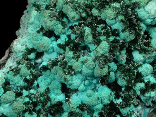 Malachite on Chrysocolla from Kolwezi Mining District, 240 km WNW of  Lubumbashi, Katanga Copperbelt, Lualaba Province, Democratic Republic of the Congo